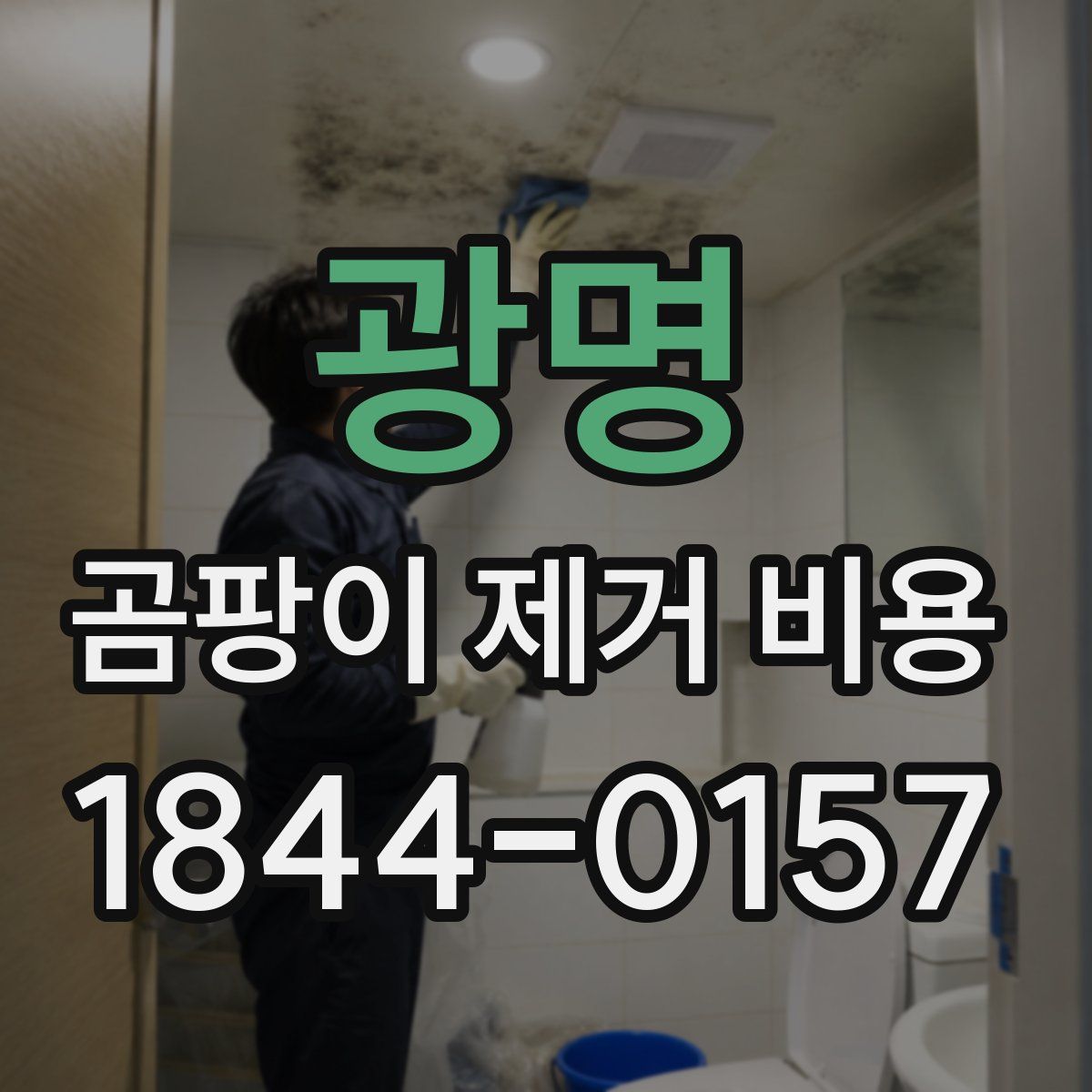 광명 곰팡이 제거 비용