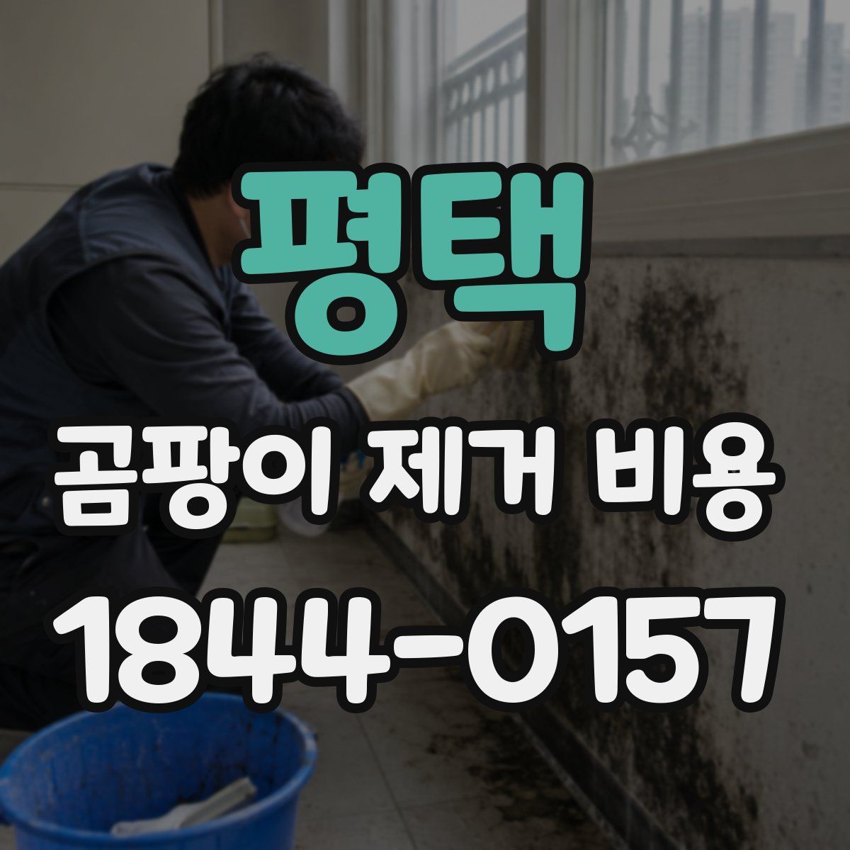 평택 곰팡이 제거 비용