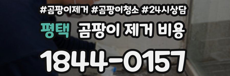 평택 곰팡이 제거 비용