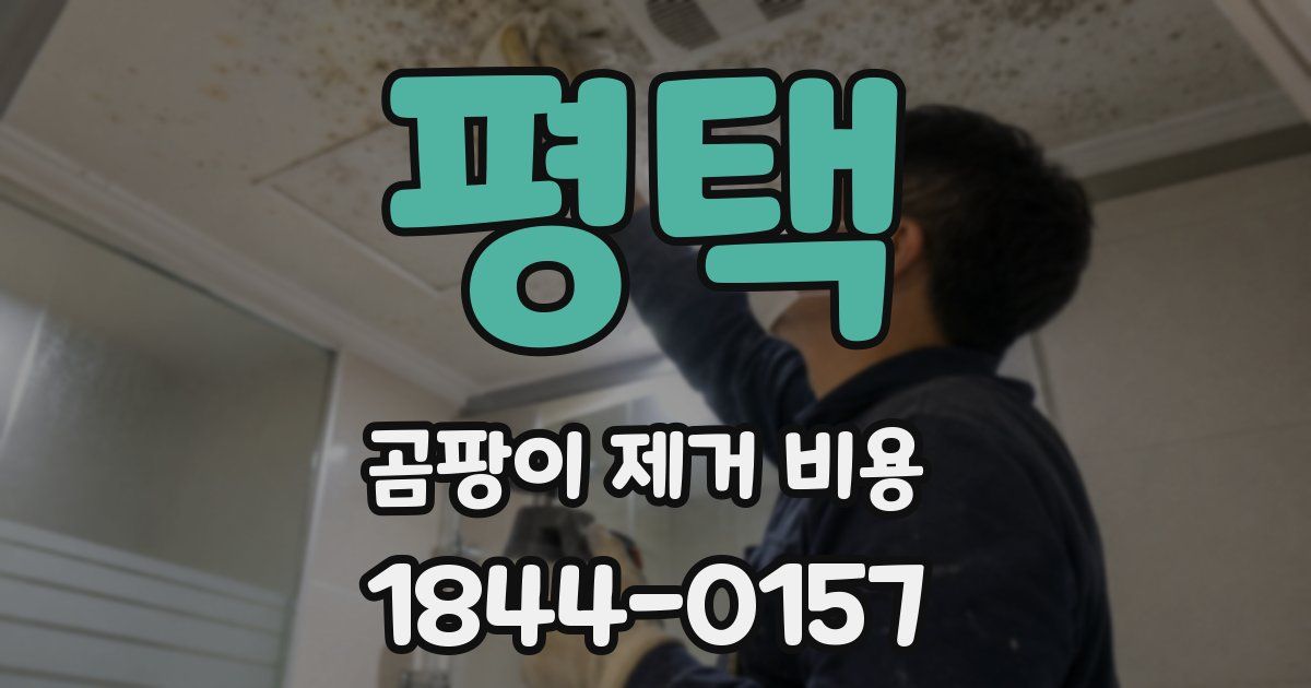 평택 곰팡이 제거 비용