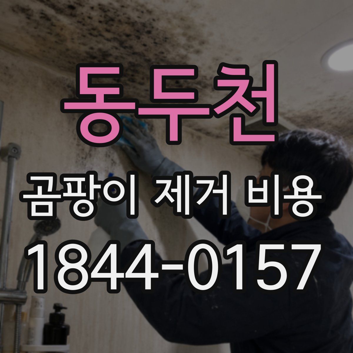 동두천 곰팡이 제거 비용