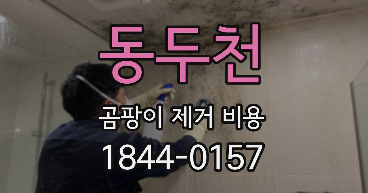동두천 곰팡이 제거 비용