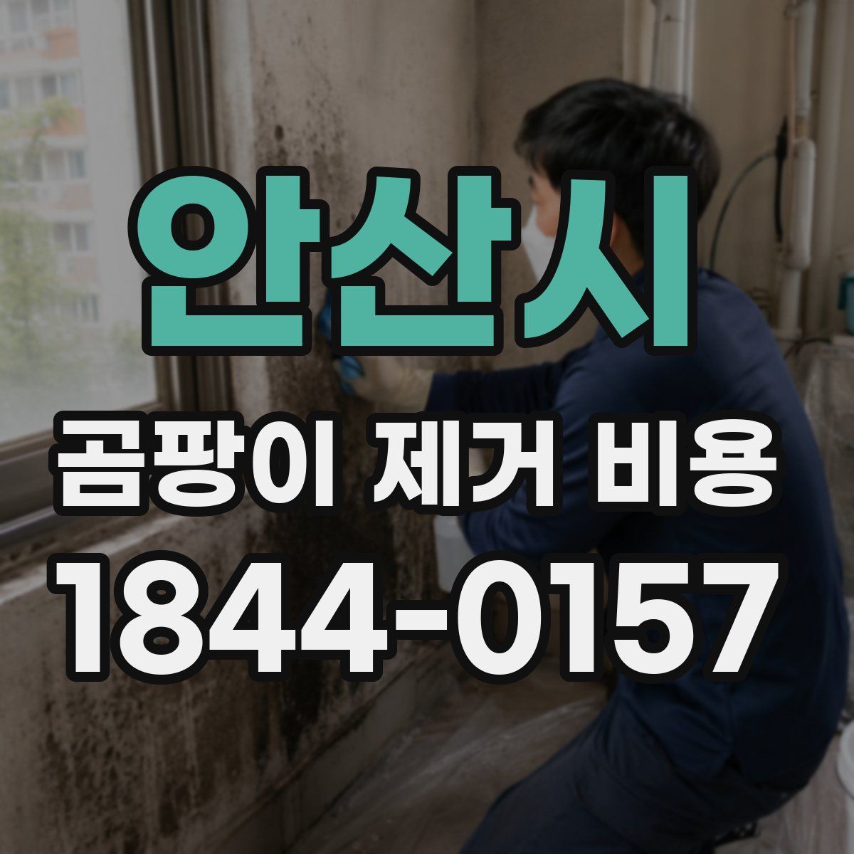 안산시 곰팡이 제거 비용