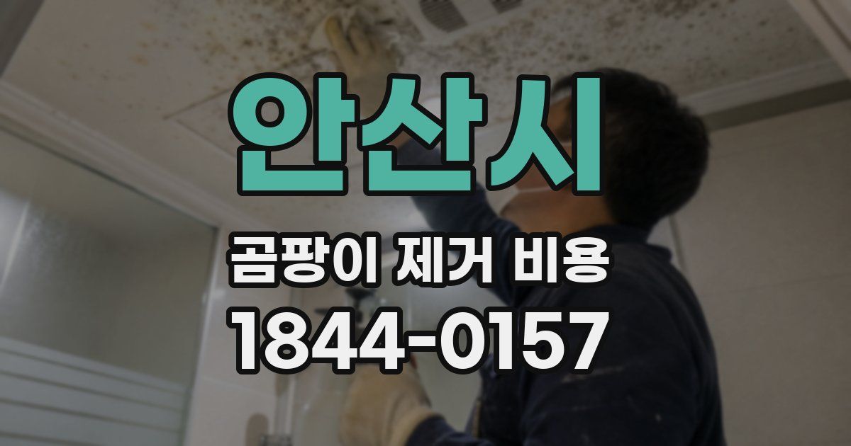 안산시 곰팡이 제거 비용