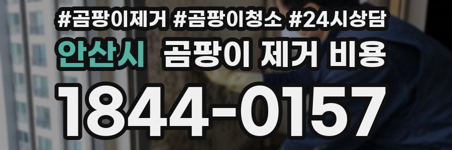 안산시 곰팡이 제거 비용