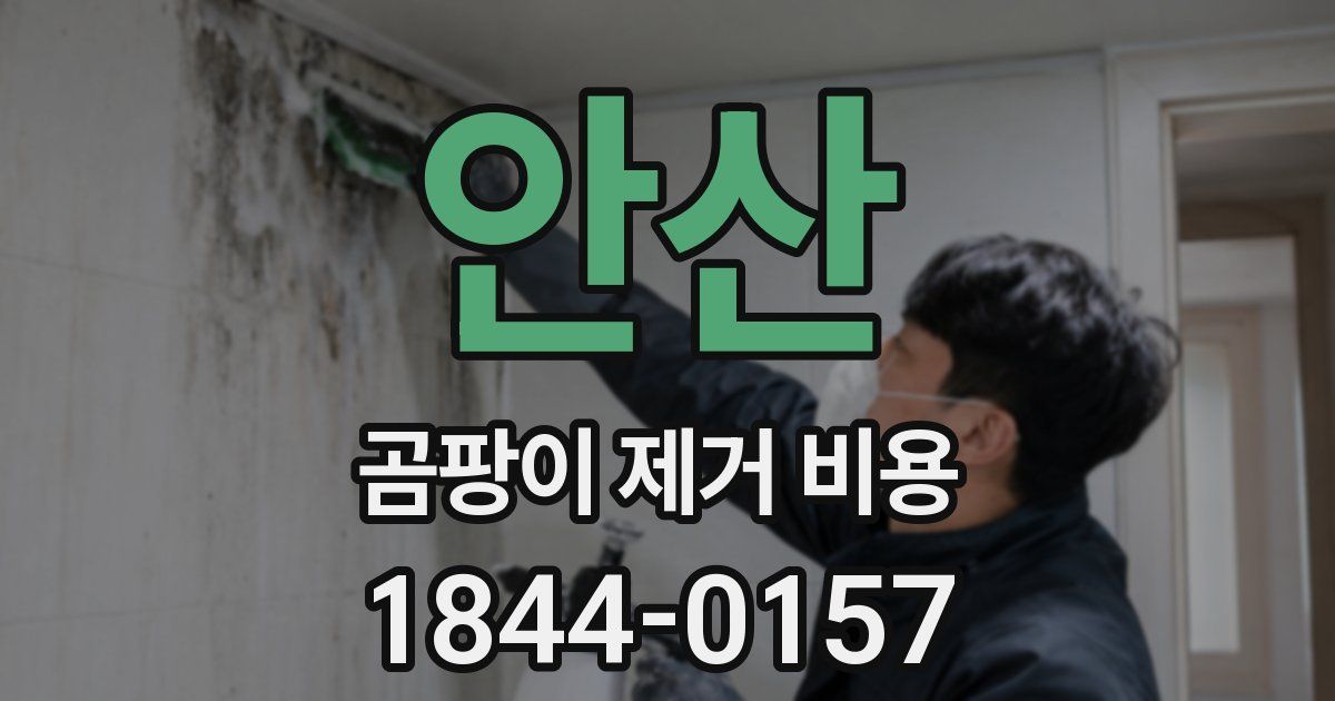 안산 곰팡이 제거 비용