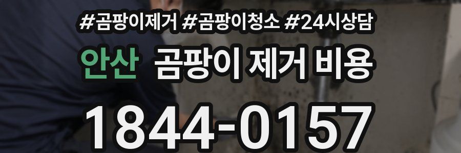 안산 곰팡이 제거 비용