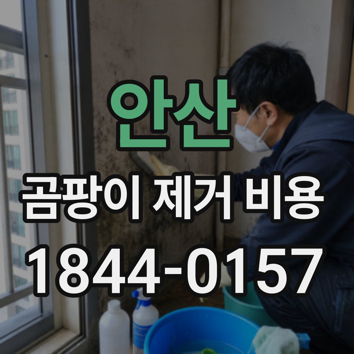 안산 곰팡이 제거 비용