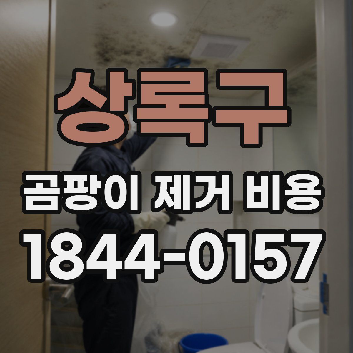 상록구 곰팡이 제거 비용