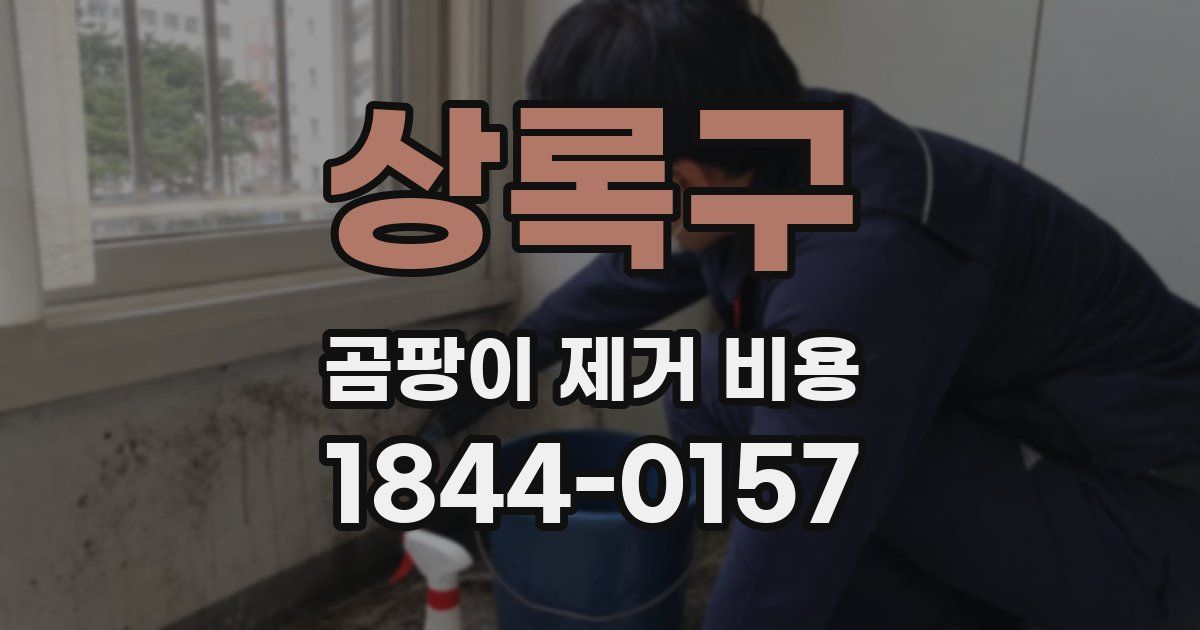상록구 곰팡이 제거 비용