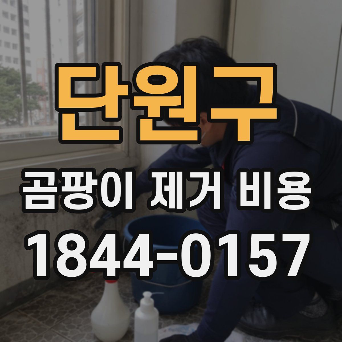 단원구 곰팡이 제거 비용