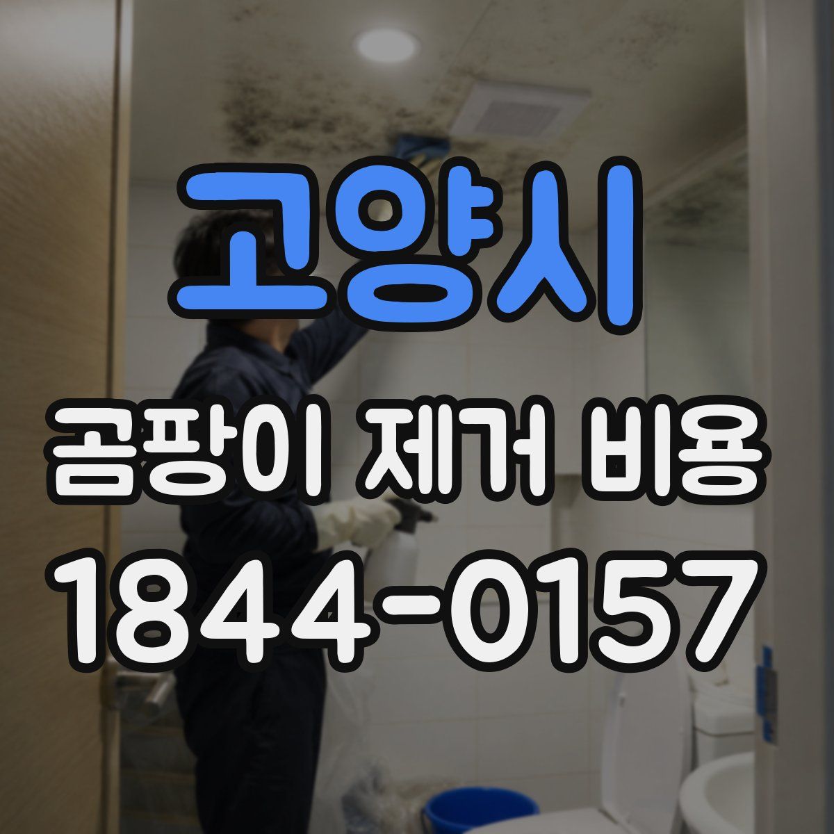 고양시 곰팡이 제거 비용