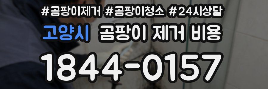 고양시 곰팡이 제거 비용