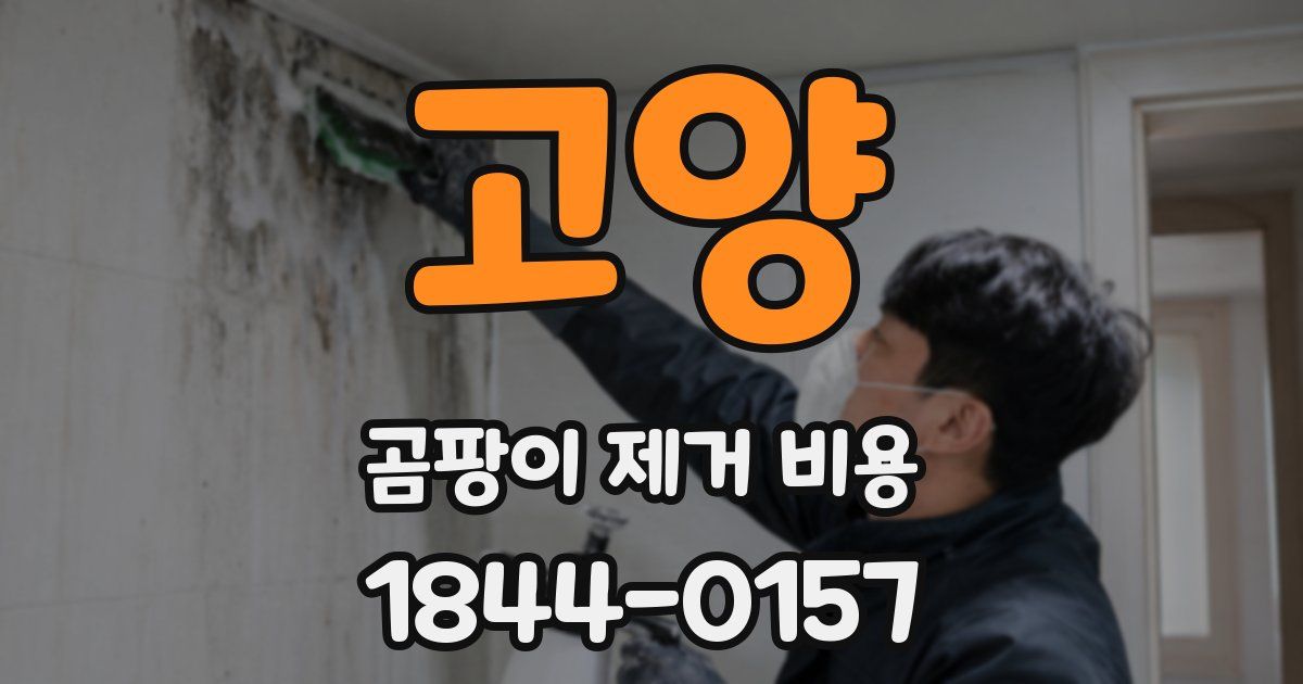 고양 곰팡이 제거 비용