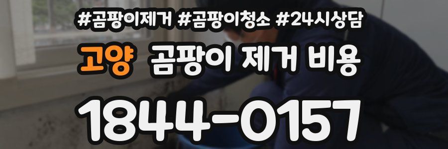 고양 곰팡이 제거 비용