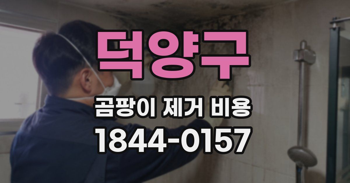덕양구 곰팡이 제거 비용