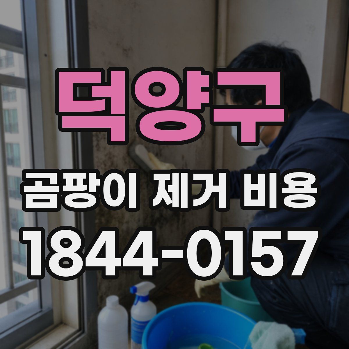 덕양구 곰팡이 제거 비용