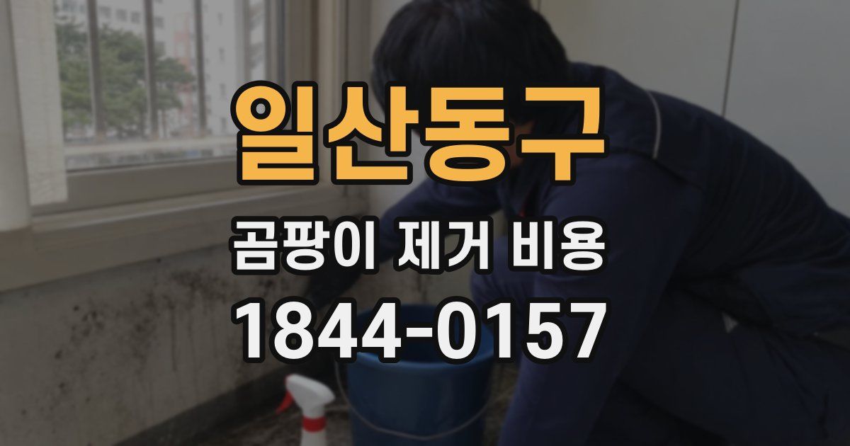 일산동구 곰팡이 제거 비용