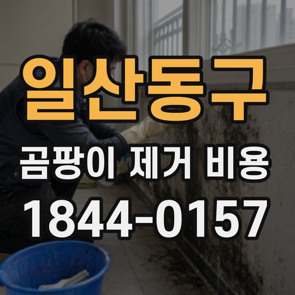 일산동구 곰팡이 제거 비용