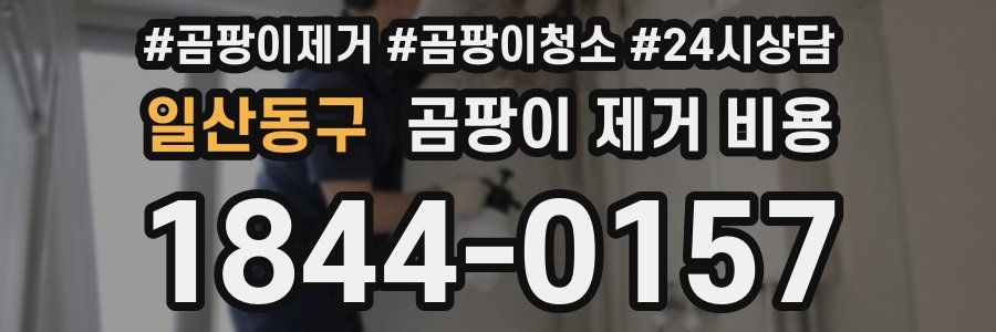 일산동구 곰팡이 제거 비용