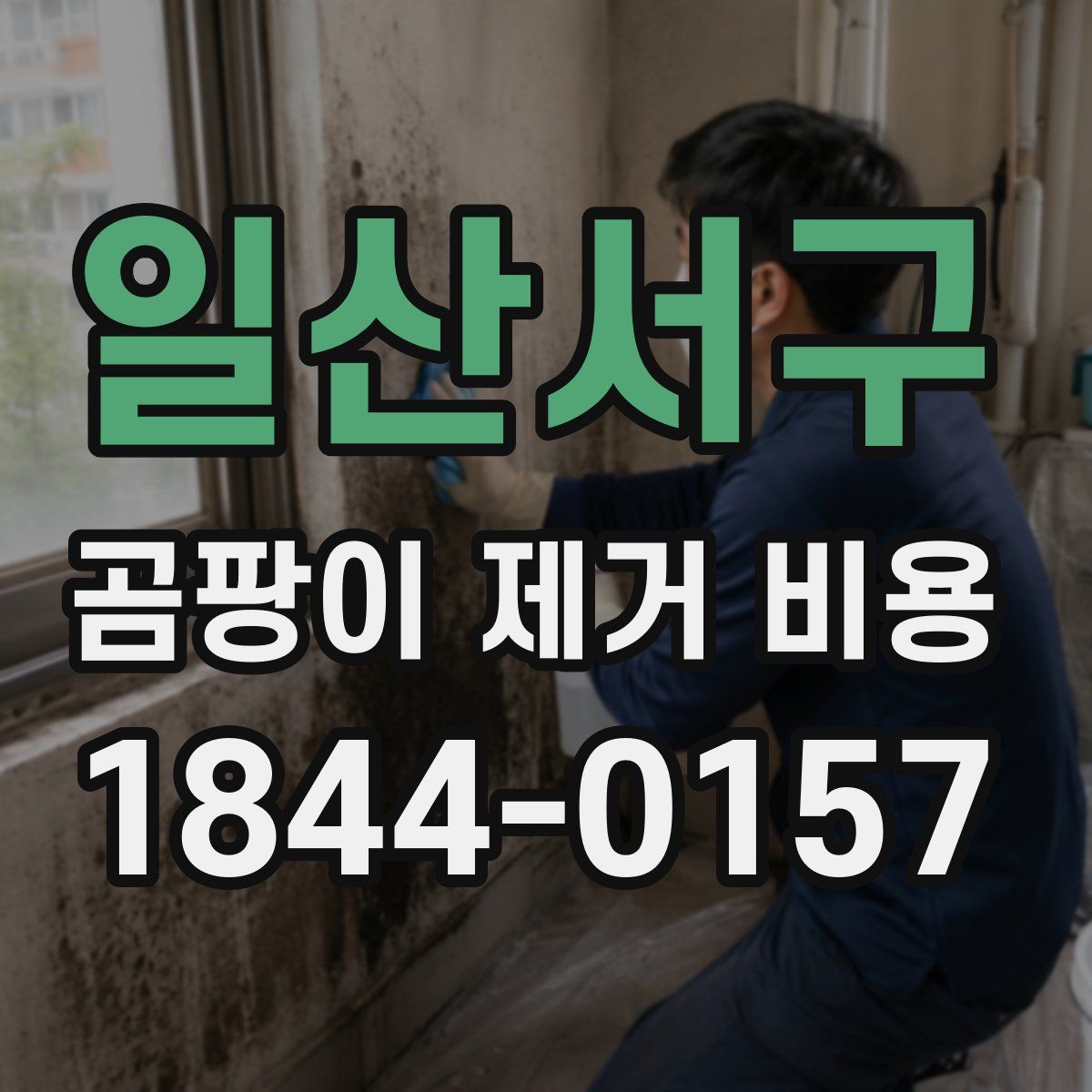 일산서구 곰팡이 제거 비용