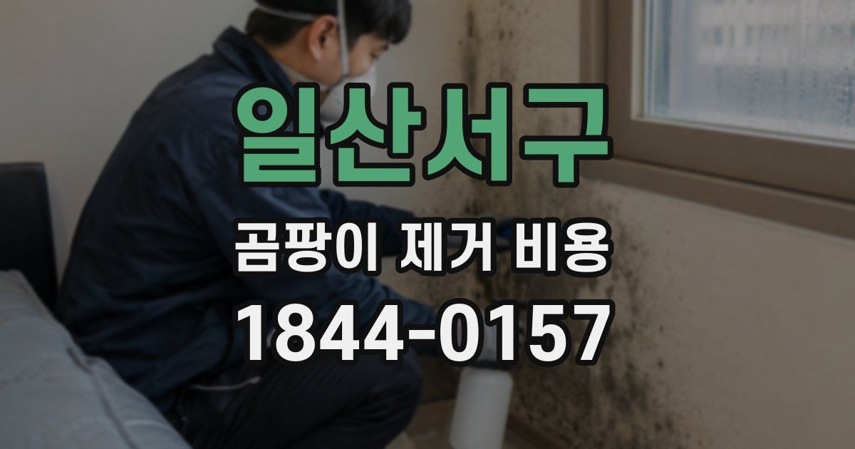 일산서구 곰팡이 제거 비용