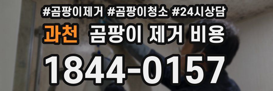 과천 곰팡이 제거 비용