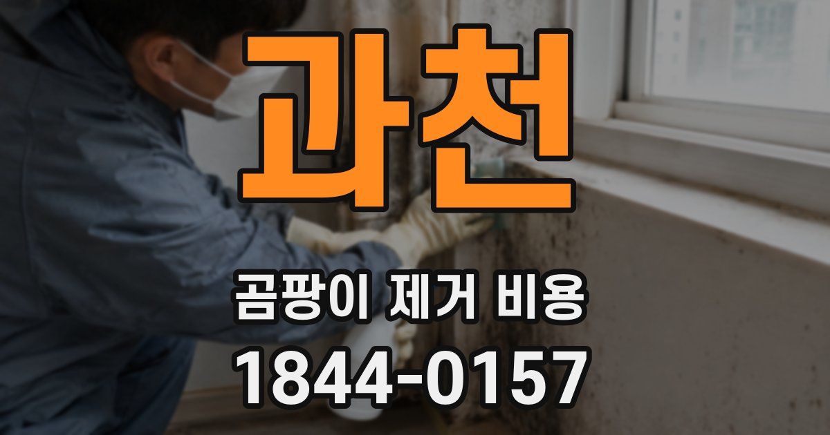 과천 곰팡이 제거 비용