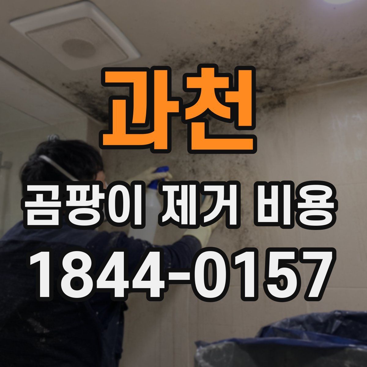 과천 곰팡이 제거 비용