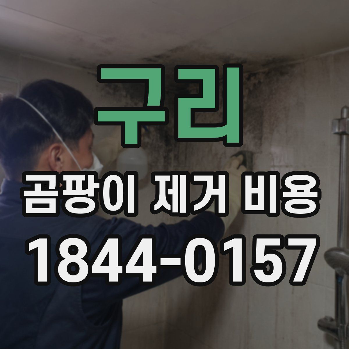 구리 곰팡이 제거 비용