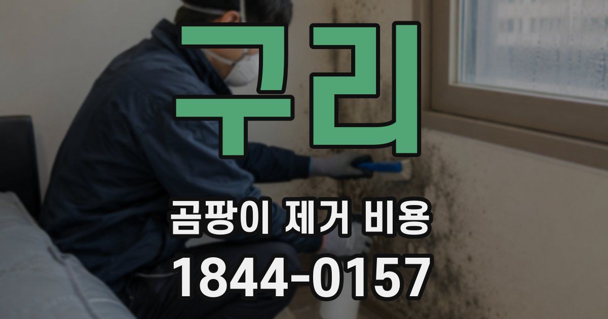 구리 곰팡이 제거 비용