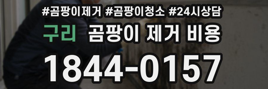 구리 곰팡이 제거 비용