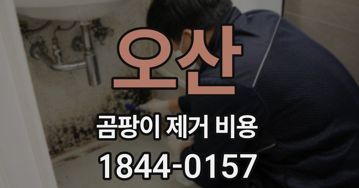 오산 곰팡이 제거 비용