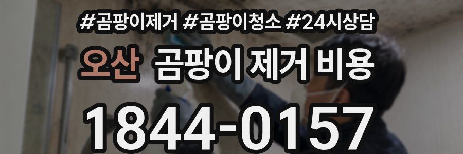오산 곰팡이 제거 비용