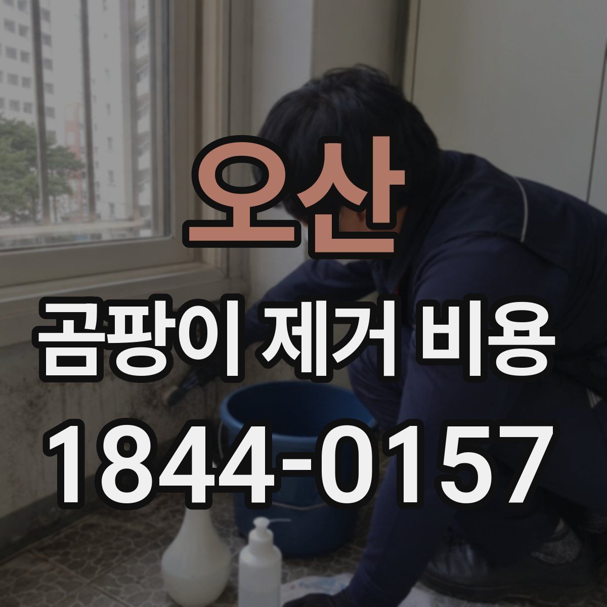 오산 곰팡이 제거 비용