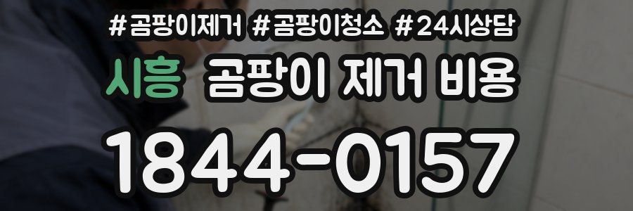 시흥 곰팡이 제거 비용
