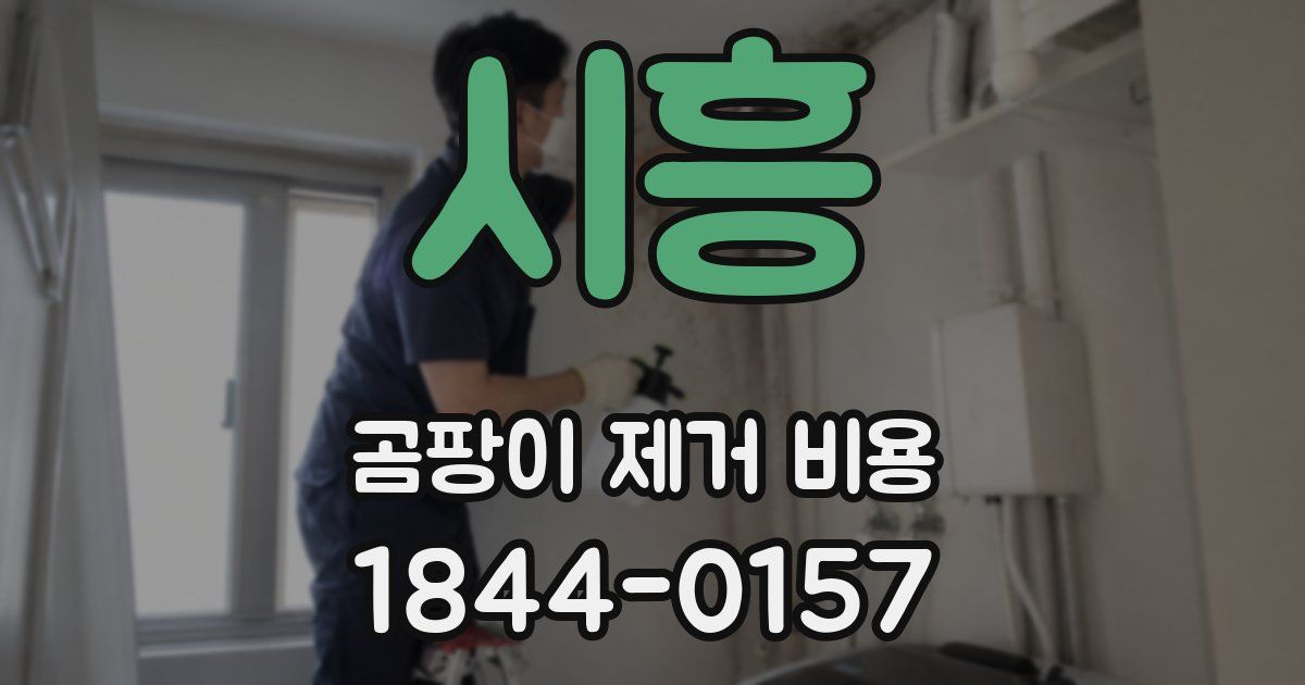 시흥 곰팡이 제거 비용