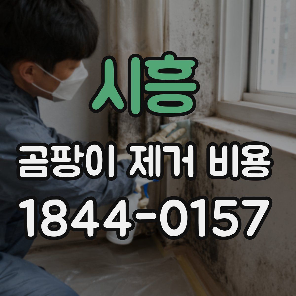 시흥 곰팡이 제거 비용