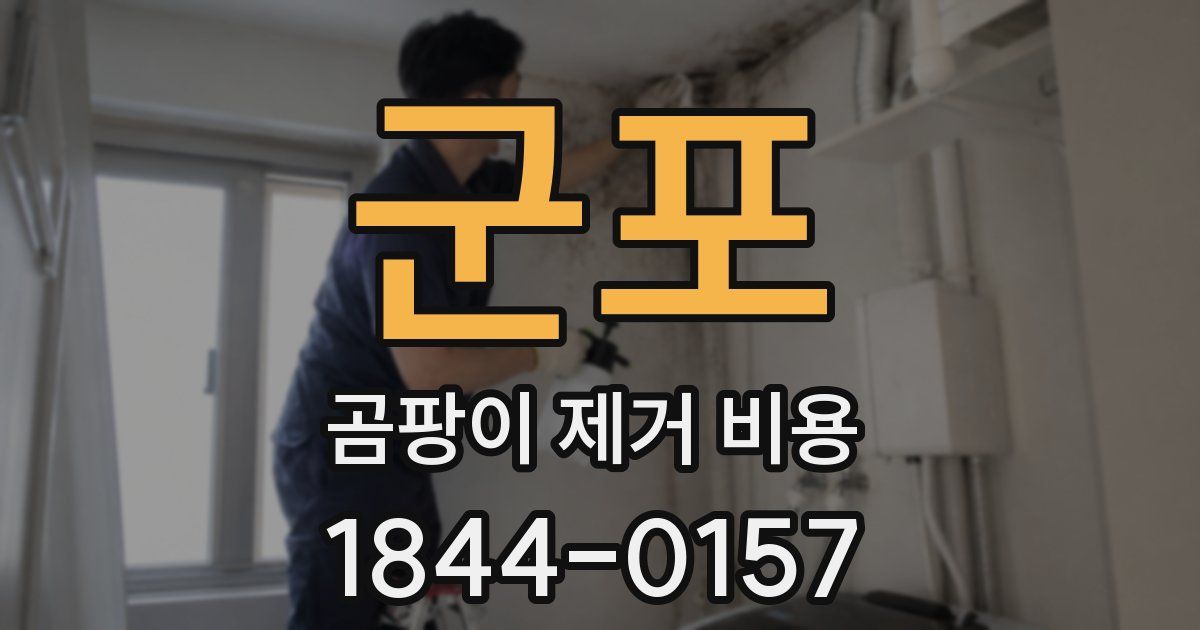 군포 곰팡이 제거 비용