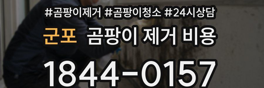 군포 곰팡이 제거 비용