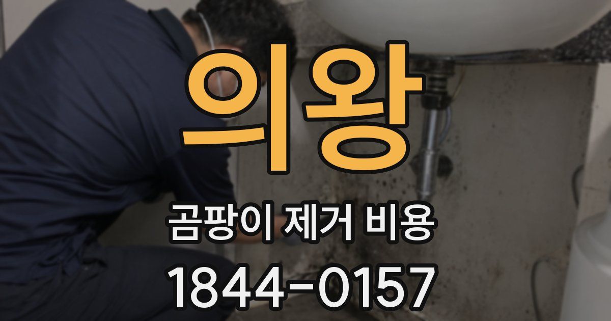 의왕 곰팡이 제거 비용