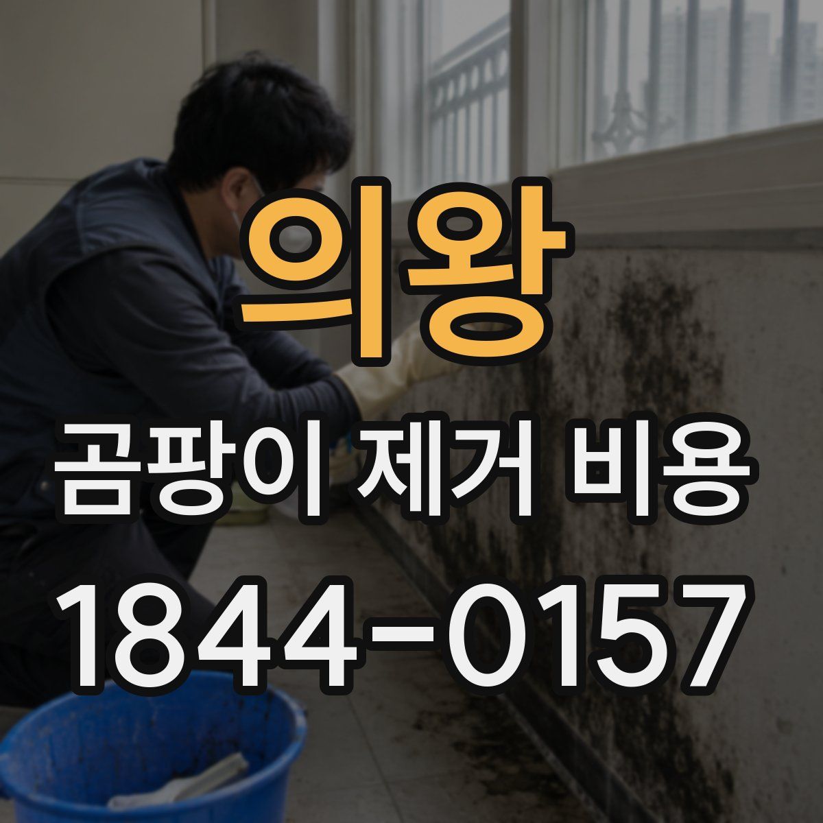 의왕 곰팡이 제거 비용