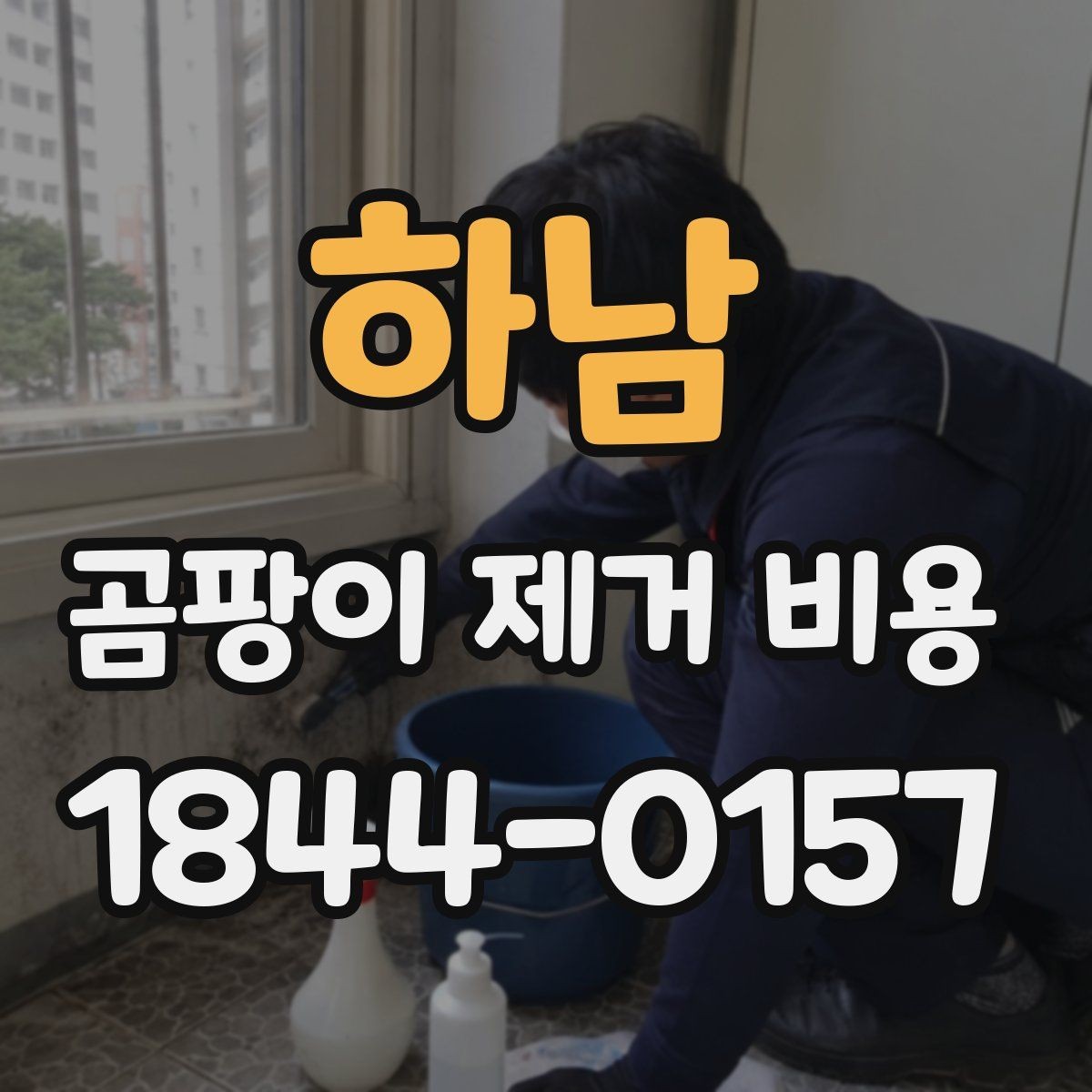 하남 곰팡이 제거 비용 곰팡이 색상별 처리 범위가 달라지는 이유