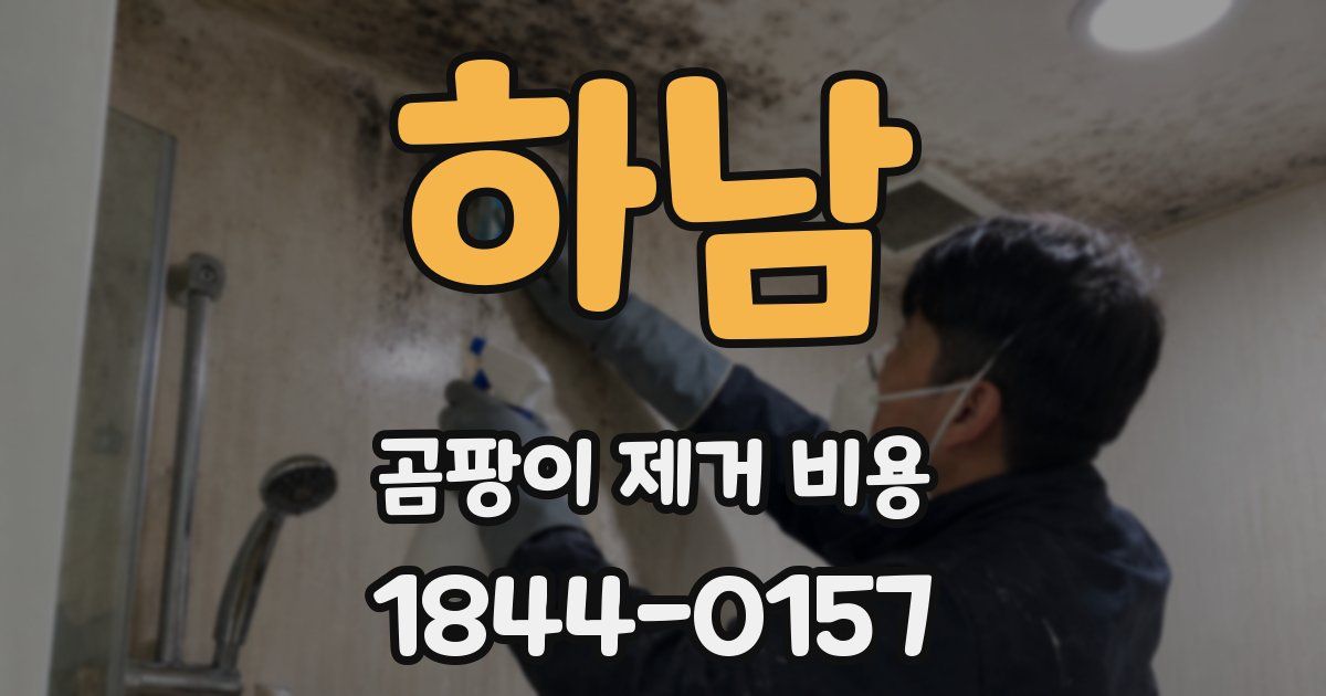 하남 곰팡이 제거 비용