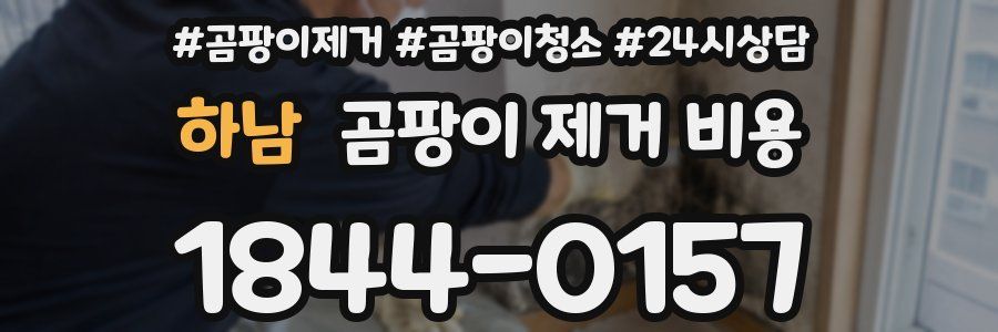 하남 곰팡이 제거 비용