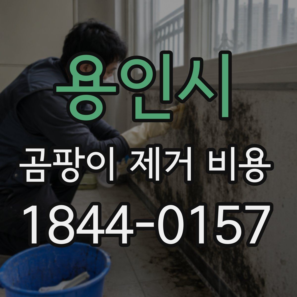 용인시 곰팡이 제거 비용 원룸과 아파트는 왜 차이가 날까