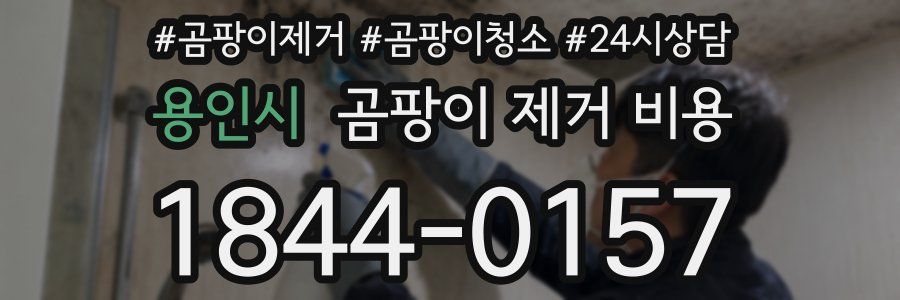 용인시 곰팡이 제거 비용