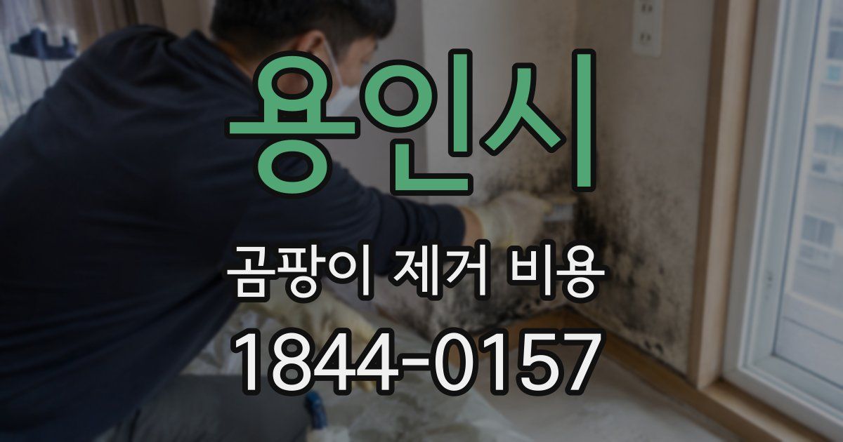 용인시 곰팡이 제거 비용