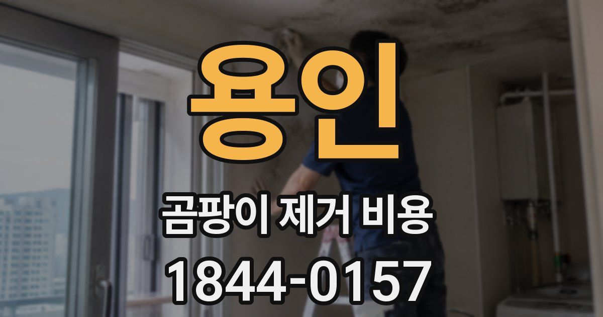 용인 곰팡이 제거 비용
