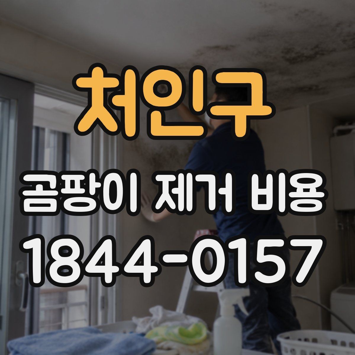 처인구 곰팡이 제거 비용 소독 작업 포함 여부를 업체별로 비교